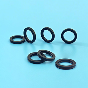 펌프 자동차 시스템을 위한 TC <span class=keywords><strong>TB</strong></span> VC 방진 설계의 맞춤형 FKM/NBR/EPDM 유압 오일 씰 - Product Image 1