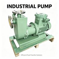 Bomba Magnética Autocebante de Acero Inoxidable OEM ZCQ, Resistente a la Corrosión, para la Industria de Tratamiento de Aguas Residuales de Galvanoplastia