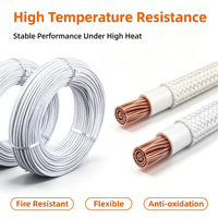 Câble conducteur 075/15/25/4/6/10/16/25 mm² Livraison gratuite GN500 Fil de silicone isolé au mica résistant aux hautes températures 500°C
