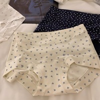 Culottes en coton à manches longues pour femmes, avec maintien des hanches, coupe plate, taille moyenne, grande taille jusqu'à 100 kg