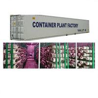 Serre conteneurisée automatisée intelligente de 40/20 pieds pour la culture hydroponique de champignons, de mycètes et de légumes