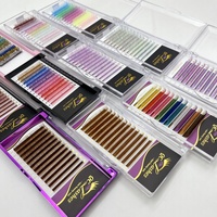 Plateaux d'extensions de cils en gros, marque privée, 0.03 CC, courbure D, super doux, marron, Easy Fan, volume russe, en cachemire, colorés