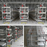 Équipement d'élevage avicole de type H entièrement automatique au design moderne, cages pour poulets de chair