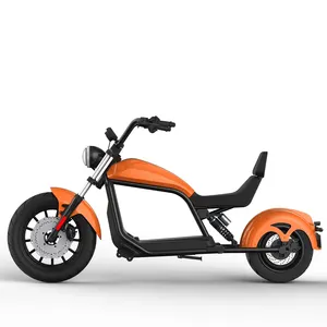 2021 De Nieuwste Fabriek Verkoopt Eeg/Coc Gecertificeerd Elektrische Scooters En Elektrische Motorfietsen