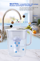 Buitenwaterfilterkan met vervangbaar filterpatroon, 3,5L glazen waterkan set met filterdeksel