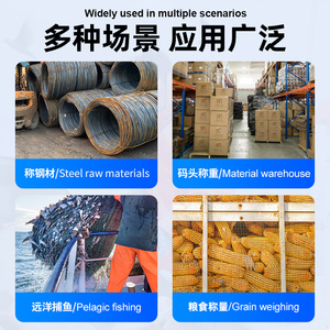 Échelle de grue électronique <span class=keywords><strong>GYS</strong></span> Ocs de haute qualité Mesure de compression Échelle de grue électronique industrielle - Product Image 6