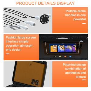 Magicbelle Machine de thérapie RF de bureau portable Tecar Thérapie vétérinaire équine pour le soulagement de la douleur des chevaux Traitement ciblé du visage efficace - Product Image 3