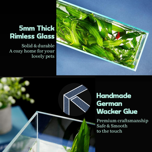 Ultra Clear Glass <strong>Aquarium</strong> Tank Rimless Low Iron <strong>Aquarium</strong> 4mm 5mm 6mm Desktop &amp; Living Room <strong>Ecosystem</strong> Fish Tank - Product Image 4