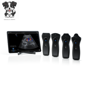 La Sonda <span class=keywords><strong>de</strong></span> Ultrasonido Inalámbrica Veterinaria Más Vendida <span class=keywords><strong>de</strong></span> Zunyou Puede Usarse para Mediciones Cardíacas en Animales Pequeños. - Product Image 1