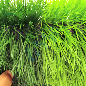 Césped <span class=keywords><strong>Artificial</strong></span> para Fútbol Sala, Campos de Fútbol, Estadios Deportivos, Césped Híbrido Verde, Césped Sintético, Césped Denso con Orificios de Drenaje - Product Image 4