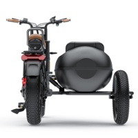 Coswheel Ct20 Electric Tricycle E-bike 1500w 48v Side Car Wholesaler 48v Lithium Battery Ebike Electric Cargo Bike with Sidecar