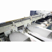 Vente chaude formant l'ampoule verticale de machine de bouteille d'ampoule en verre faisant des lignes de production