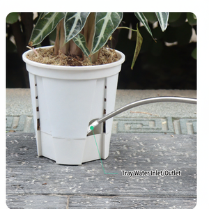 Nouveau pot de fleurs transparent en plastique pour stockage d'eau, pot d'orchidée blanc et noir respirant pour contrô<span class=keywords><strong>le</strong></span> des racines, pot d'intérieur pour personne paresseuse - Product Image 5