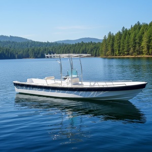 Grandsea - Barco de Pesca Panga de Fibra de Vidrio de 23 pies (7 m), Fabricado en China, Económico, con Consola Central, en Venta - Product Image 3