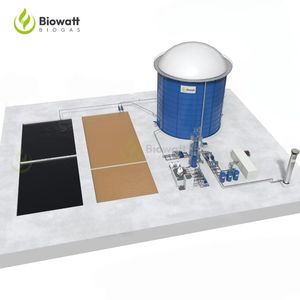 Análisis Completo de Costos para Plantas de Biogás Natural Comprimido (BNG) de 1 a 5 Toneladas y Proyectos de Plantas de Biogás de 100 a 1000 Metros Cúbicos - Product Image 6