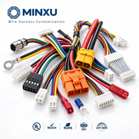 Harnais de câblage OEM personnalisé, pas de 2,0 mm et 2,54 mm, connecteur 22-28 AWG à 2-12 broches, assemblage de câbles pour câblage électrique