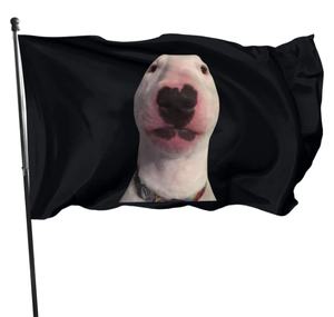 Bandera de jardín exterior para decoración del hogar, Bandera de pie para granja, de 3x5 pies, para uso interior y exterior - Product Image 3