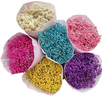 Fleur de Gypsophile séchée et préservée, grande, faite à la main, pour la décoration de mariage, de la Saint-Valentin, de Noël, de la remise des diplômes et de fêtes.