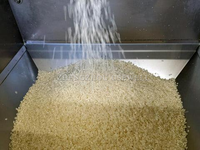 Machine à décortiquer le riz automatique à moteur intégré pour usage domestique, capacité de 1000 kg/h, du fabricant