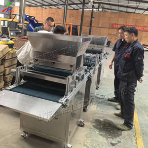 Equipo <span class=keywords><strong>de</strong></span> siembra automático para cultivo <span class=keywords><strong>de</strong></span> tomate, repollo y sandía, suministrado por el fabricante, sembradora <span class=keywords><strong>de</strong></span> plántulas para uso agrícola - Product Image 4