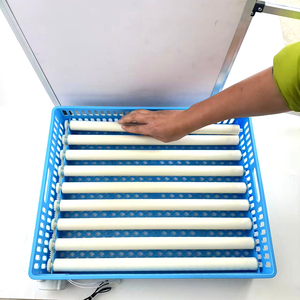 ตู้ฟักไข่อัตโนมัติ <span class=keywords><strong>64</strong></span> ฟอง วัสดุ PVC สำหรับฟาร์มสัตว์ปีก - Product Image 3