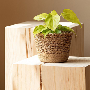 Panier de rangement en jonc de mer tressé à la main pour plantes d'intérieur avec doublure imperméable, idéal pour la décoration bohème - Product Image 3