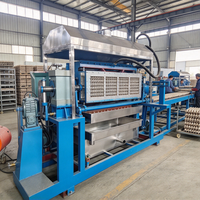 Machine de fabrication de barquettes à œufs en bagasse et sciure de bois, matière première recyclable, protection de l'environnement