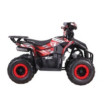 Quad Tao Motor 2027, nouveau modèle automatique avec frein à disque inversé, jantes de 7 pouces, 110 cm³, transmission par chaîne, ATV pour enfants avec certification CE EPA