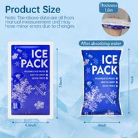 Pack de glace sèche en gel pour glacière alimentaire jetable en plastique personnalisable avec logo, feuille de congélation avec logo pour boîte à lunch