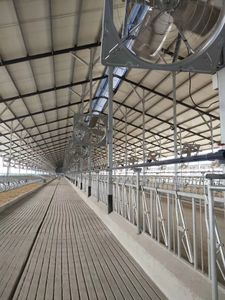 Çiftlik Ekipmanları ve Hayvancılık için Yüksek Kaliteli Sağlam Sığır Kendinden Kilitlemeli Başlık Direkleri - Product Image 6