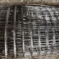 Rouleaux de grillage soudé galvanisé durable pour clôtures, sécurité et usage agricole
