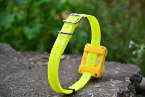 충전식 사냥 개 <span class=keywords><strong>Beeper</strong></span> 칼라 방수 개 훈련 칼라 내장 <span class=keywords><strong>Beeper</strong></span> 사운드 스포츠 훈련 사냥 칼라 - Product Image 6