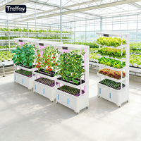 Unidad de Agricultura Inteligente sin Suelo para el Hogar con Pantalla Digital que Muestra la Temperatura y Humedad en Tiempo Real