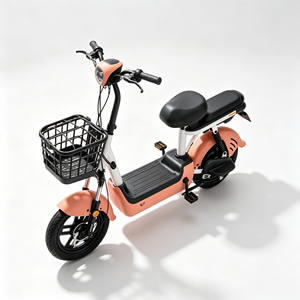 Bicicletta <span class=keywords><strong>Elettrica</strong></span> da Città 14 Pollici, Motore 350W 48V, Telaio in Acciaio, Batteria al Piombo-Acido, Scooter per Trasporto Merci, 40-60km/h - Product Image 1