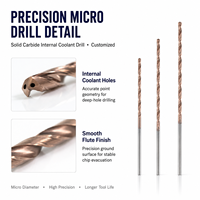 Foret hélicoïdal ZHUOLI ZLDrillBit-05 en carbure de tungstène pour trous profonds, petit diamètre, longueur de cannelure personnalisée 50-300mm, perçage CNC