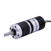 Motor BLDC tanpa sikat 36mm 3nm, Motor BLDC tanpa sikat 100rpm 1000rpm dengan Gearbox planet untuk pemotong rumput pel Motor gir Dc 24v