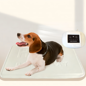 Dispositivo de terapia magnética PEMF de alta frecuencia, fabricante chino, instrumento veterinario para huesos más fuertes, dolor articular de animales - Product Image 1