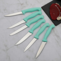 Ensemble de couteaux à steak ergonomiques en acier inoxydable 6 pièces pour chef avec couteaux à éplucher et utilitaires, manche en PP sûr, prise en main facile