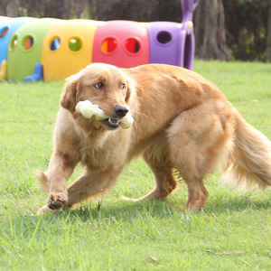 Jouet à mâcher pour animaux de compagnie, os en nylon durable à remplir pour chiens en période de dentition, taille moyenne - Product Image 3
