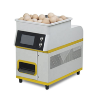 Machine à frire les œufs électrique entièrement automatique avec système de retrait des coquilles, grande capacité, pour hôtels