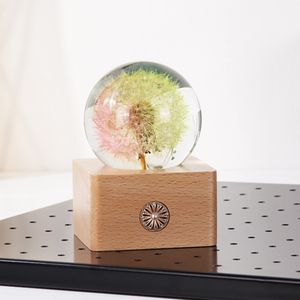 3D ha condotto la luce del dente di leone bianco caldo conservato fiore ricaricabile sfera di cristallo luce notturna su misura regalo di san valentino - Product Image 2