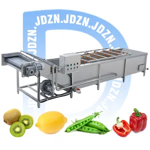 Automatic Vegetable Fruit Wash Cleaning Machine Apple Berry Bubble Clean Machine