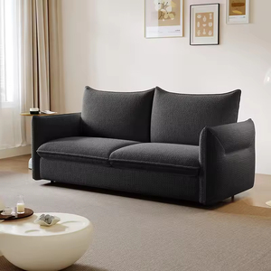 Sofá Cama Extraíble Plegable Divano Letto Sofá Come Bed Sofá Cama Doble Rodante Plegable Moderno con Colchón Grueso para Hotel - Product Image 5
