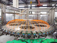 Automatische sapvulmachine, fruit sap bottelapparatuur, NFC verse sap PET flesvulfabriek