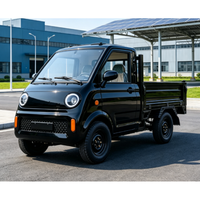 Camionnette électrique à quatre roues EEC COC L6E LHD avec phares de toit, 3500W, 25KM/H, batterie lithium 105AH