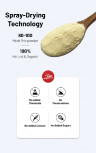 EE. UU. y almacén de la UE al por mayor orgánico natural liofilizado y secado por pulverización piña bebida instantánea jugo fruta en polvo - Product Image 2