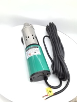 Pompe à vis CC 48/60V, pompe à eau solaire pour l'agriculture, pompe à eau solaire submersible CC pour puits profond