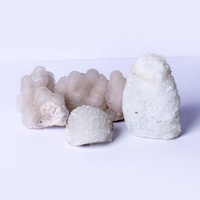 Piedra curativa Natural, gemas minerales de cristal, Cactus, cuarzo, Spirit, para decoración, novedad