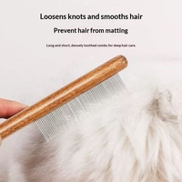 Brosse de toilettage pour chat en acier inoxydable, démêlante et anti-chute pour poils longs, brosse lissante à dents fines pour chien et animal de compagnie