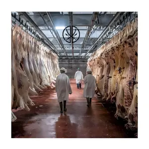 Halal musulmano facile installazione attrezzatura per macello buon fornitore attrezzatura per macello di manzo trasportatore per carne di mucca binario per gancio